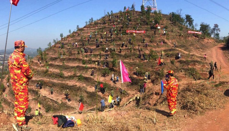 微信图片_20190506155129