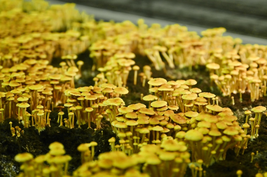 微信图片_20231228112514