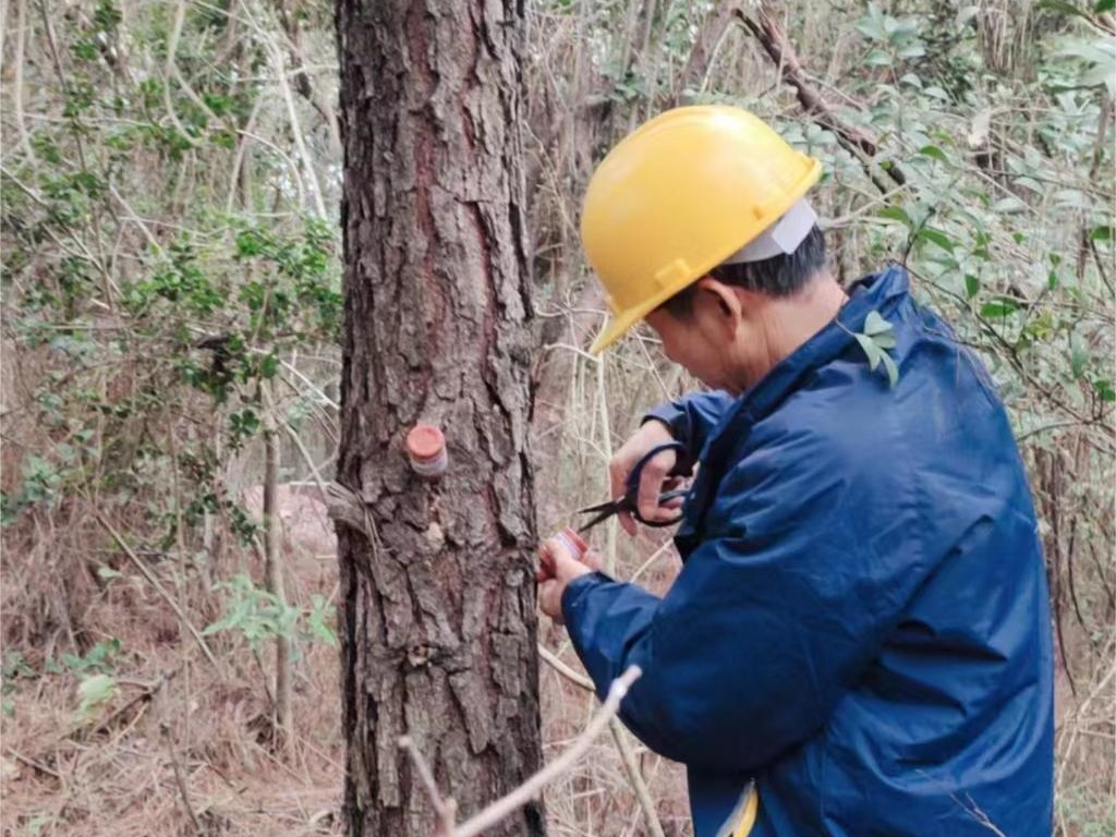 微信图片_20240130093959