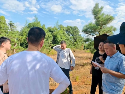 微信图片_2025-07-23_171209_378