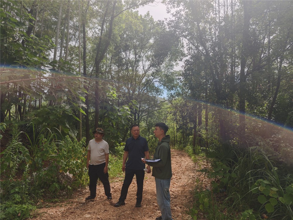 微信图片_2025-08-15_170939_203